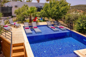 Mehmet Apt Suite 3